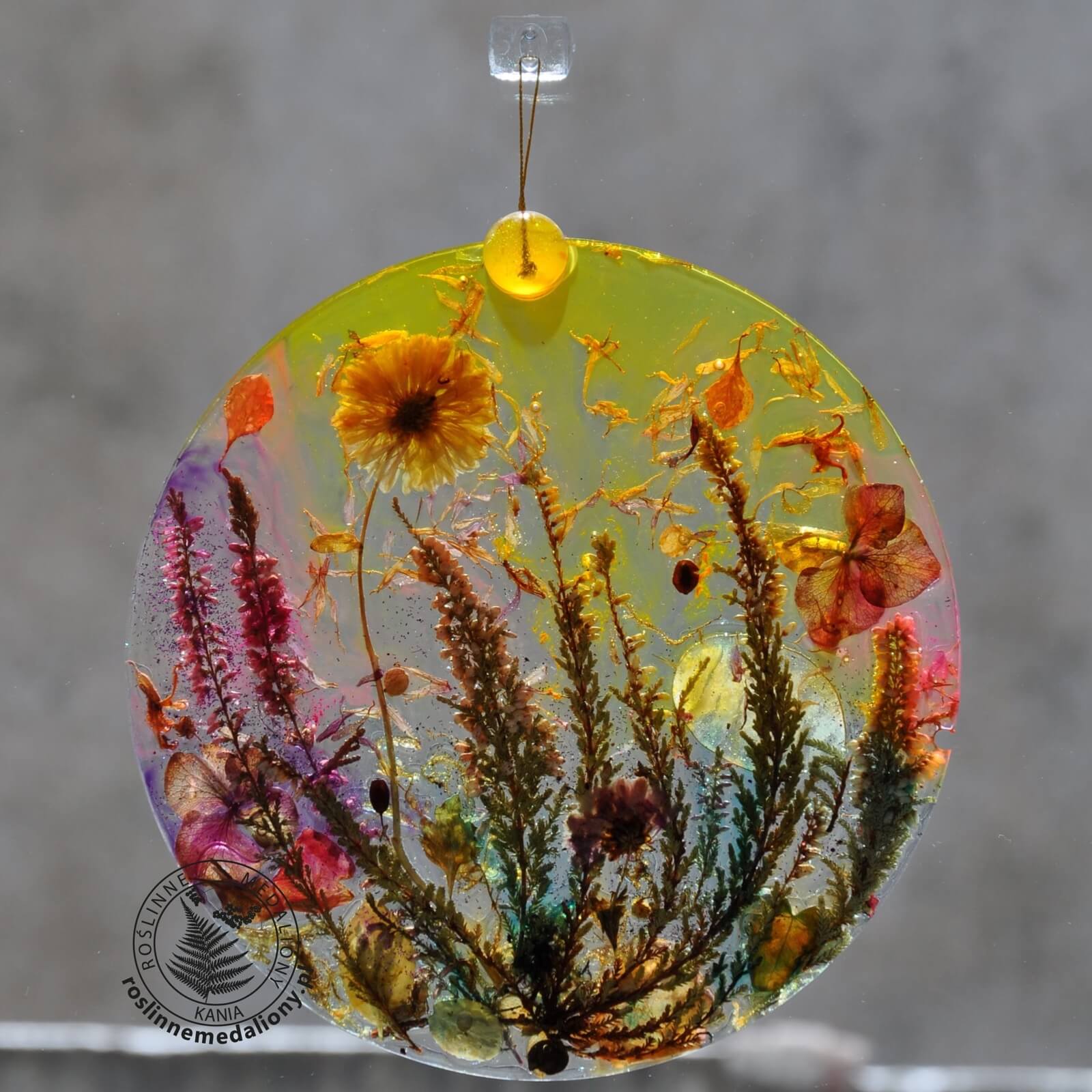 Ręcznie wykonany, okrągły medalion z żywicy, w którym zatopiono różnobarwne suszone rośliny, zawieszony na szybie okna.