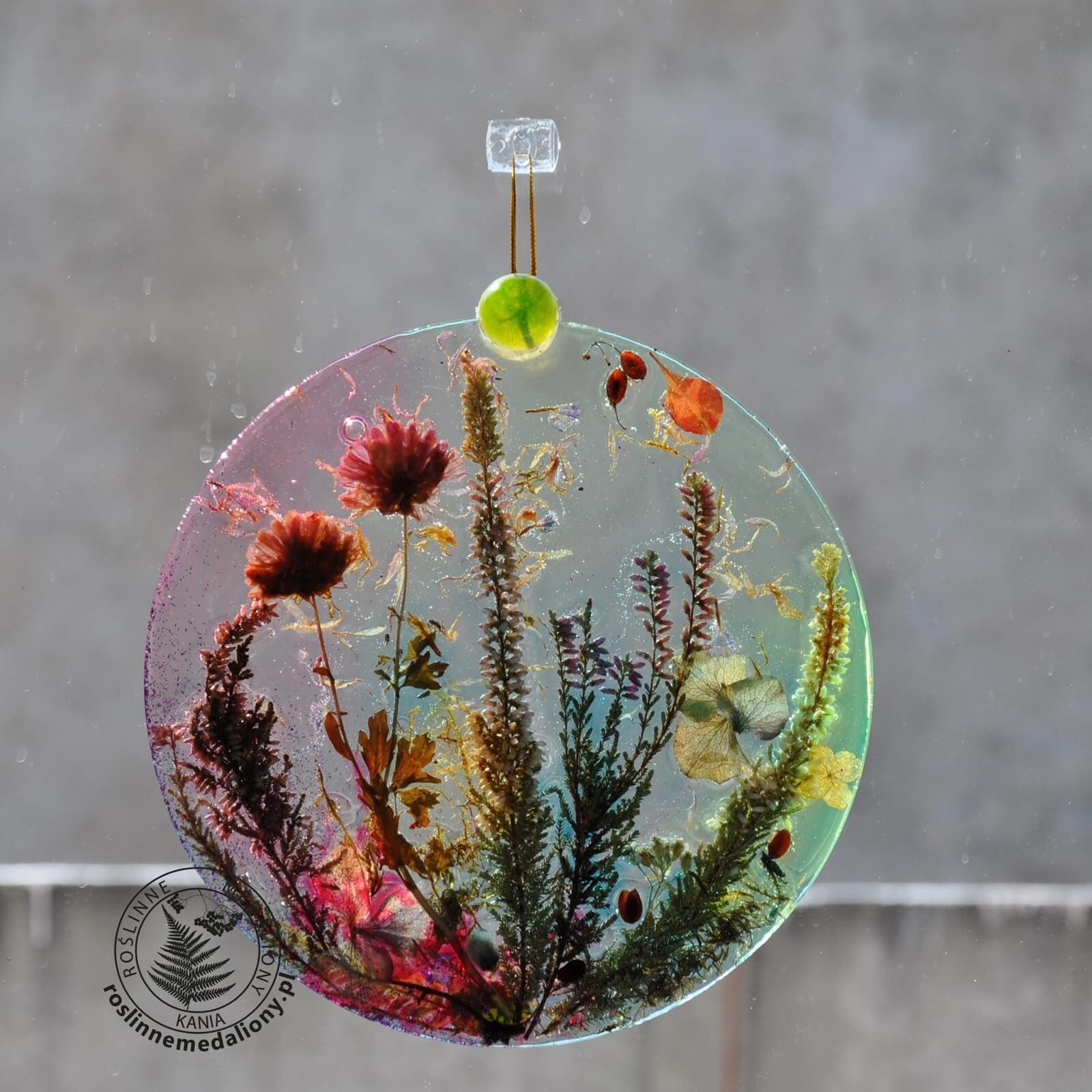 Ręcznie wykonany, okrągły medalion z żywicy, w którym zatopiono różnobarwne suszone rośliny, zawieszony na szybie okna.
