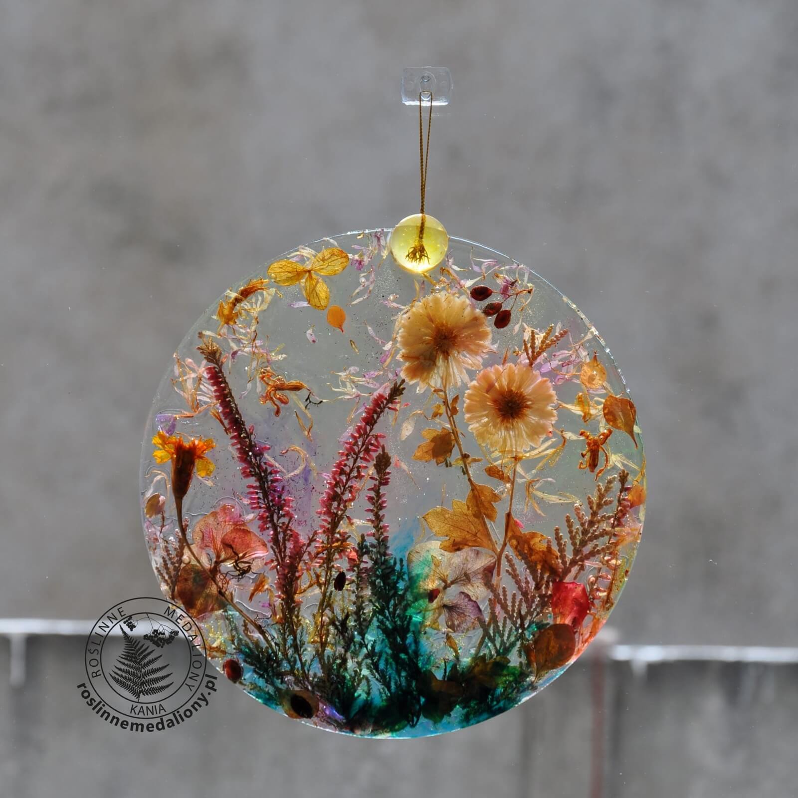 Ręcznie wykonany, okrągły medalion z żywicy, w którym zatopiono różnobarwne suszone rośliny, w tym liście paproci i bratki, zawieszony na szybie okna.