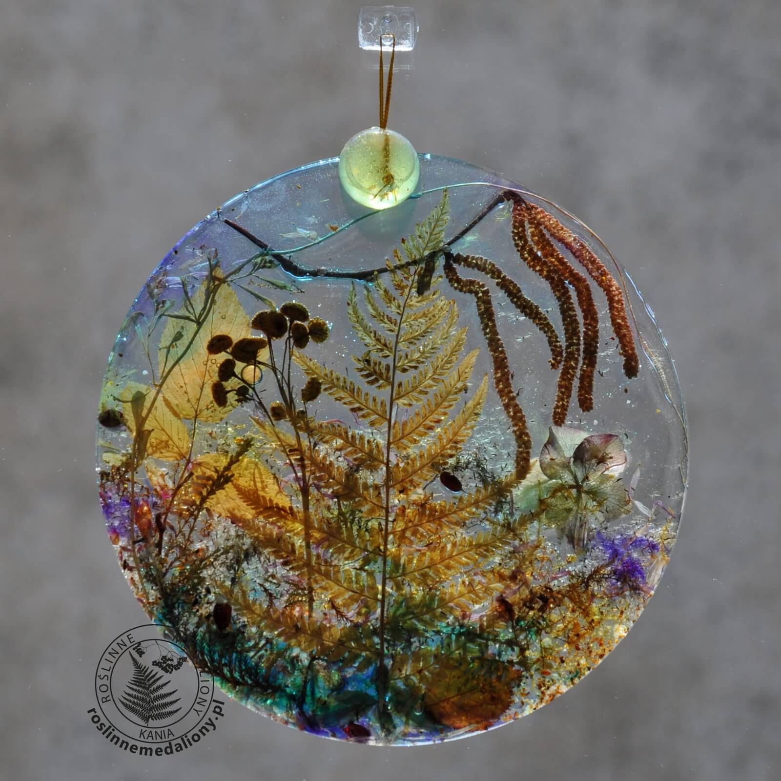 Ręcznie wykonany, okrągły medalion z żywicy, w którym zatopiono różnobarwne suszone rośliny, w tym liście paproci i bratki, zawieszony na szybie okna.