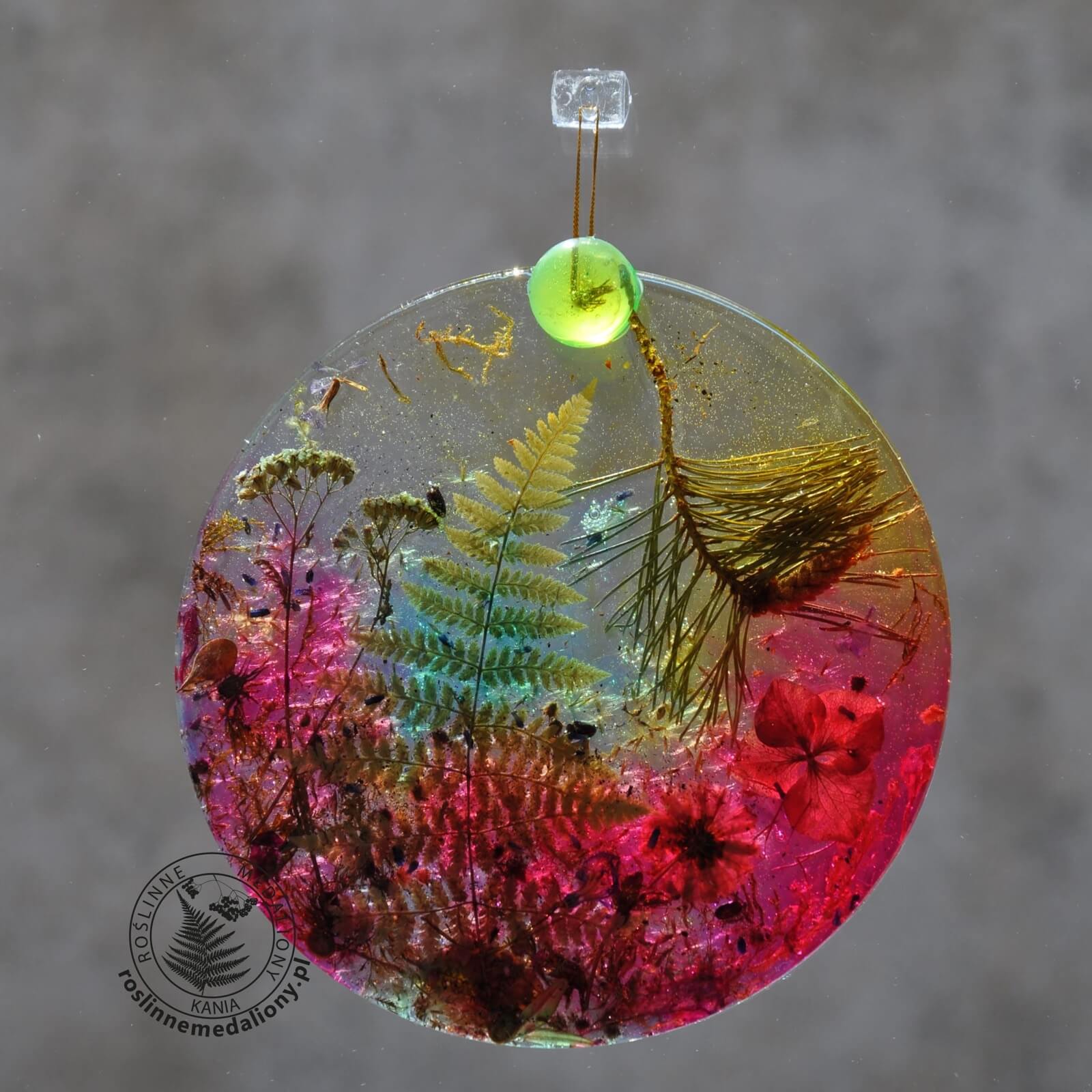 Ręcznie wykonany, okrągły medalion z żywicy, w którym zatopiono różnobarwne suszone rośliny, w tym liście paproci i bratki, zawieszony na szybie okna.