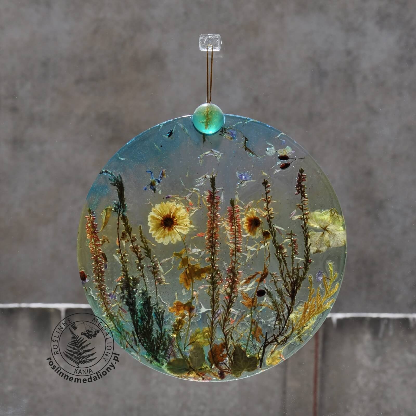 Ręcznie wykonany, okrągły medalion z żywicy, w którym zatopiono różnobarwne suszone rośliny, w tym liście paproci i bratki, zawieszony na szybie okna.