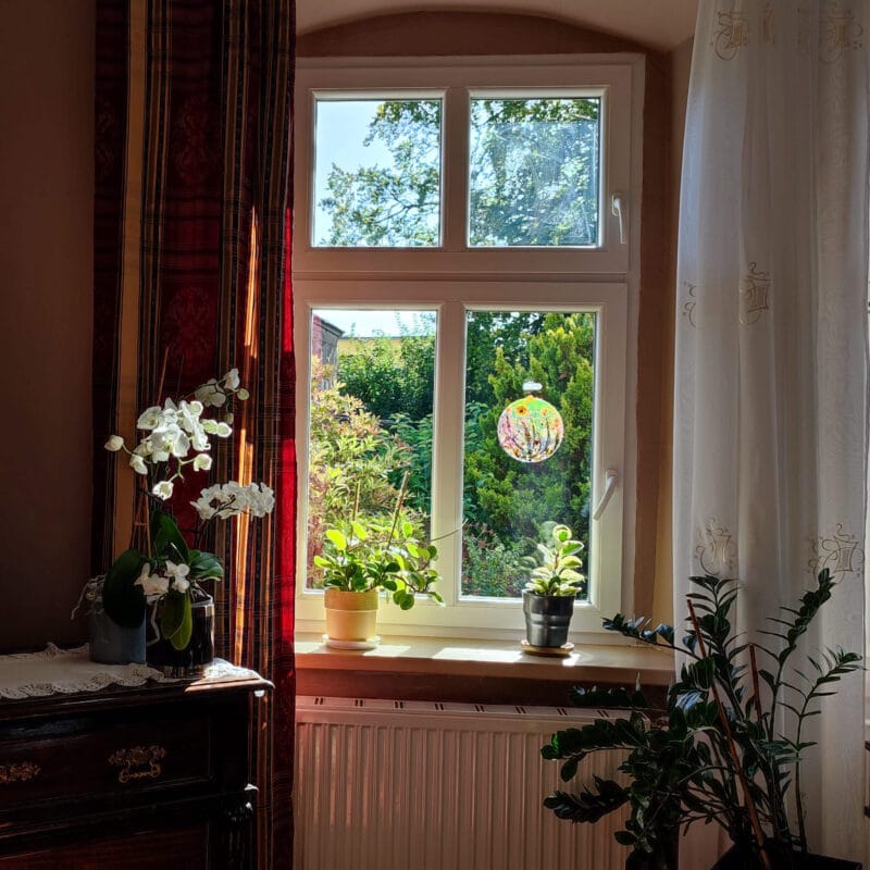 Medalion nr 5 na oknie