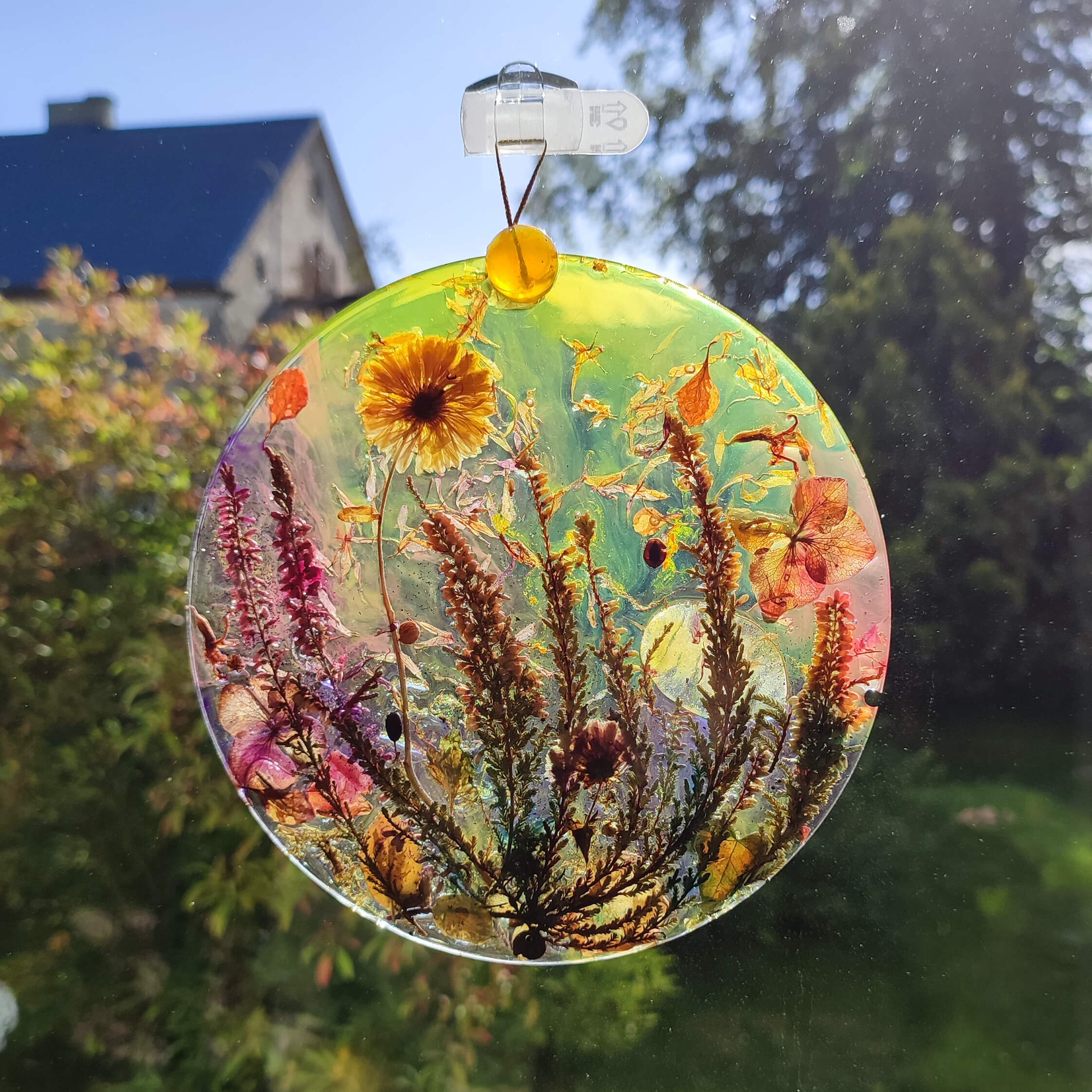 Medalion nr 5 na oknie